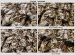 Bouguereau Lassaut Upholstery Fabric 3meters 4 Designs & 12 Fabric Options Classical Art Fabric by the Yard | D20053