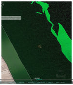 Green Rose Area Rug, Available in 3 sizes |10003E