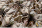 Bouguereau Lassaut Upholstery Fabric 3meters 4 Designs & 12 Fabric Options Classical Art Fabric by the Yard | D20053