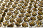 Lion Medallions Apparel Fabric 3Meters+ | 3 Designs | 8 Fabrics Option | Fabric By the Yard | 059