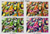 Toucan Birds Upholstery Fabric 3meters, 4 Colors, 13 Fabric Options. Tropical Fabric By the Yard | D20021
